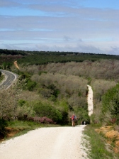 Monte de Oca Trail